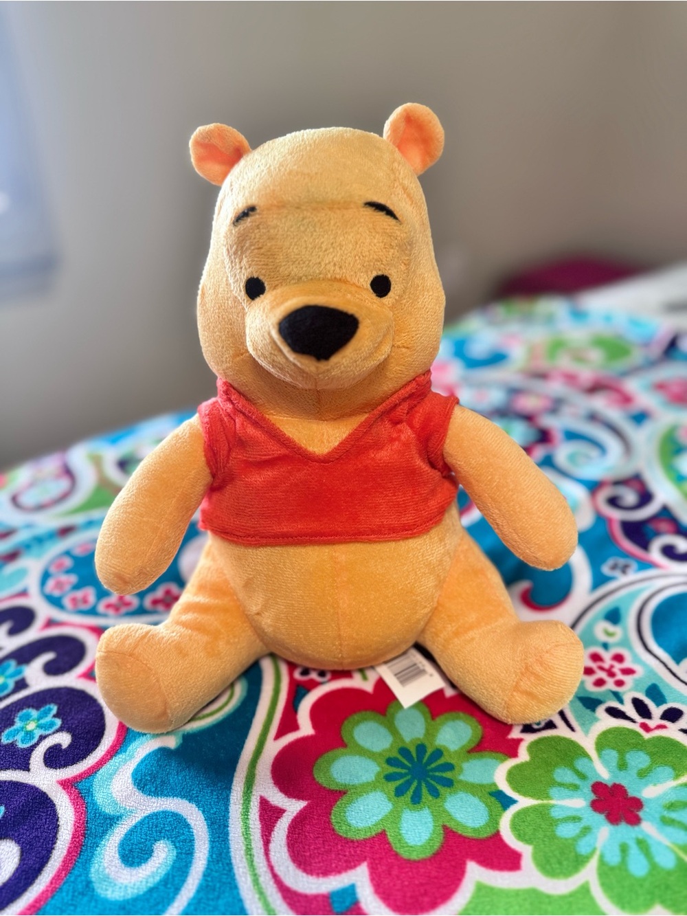 Disney Winnie the Pooh Plush